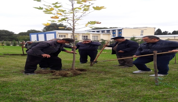 ADAU-da Prezident İlham Əliyevin fəaliyyətinin 15 illiyi ilə əlaqədar ağacəkmə kompaniyası keçirilib
