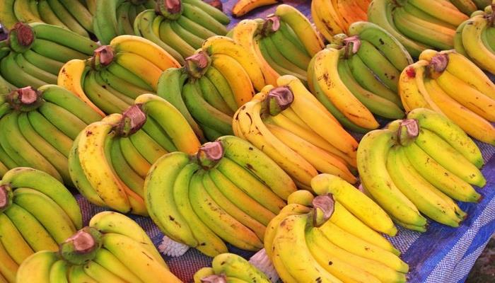 Эксперты рассказали о пользе бананов