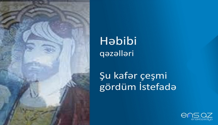 Həbibi - Şu kafər çeşmi gördüm İstefadə