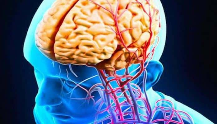 Beyini qocalana qədər cavan saxlamaq üçün nə etməli?