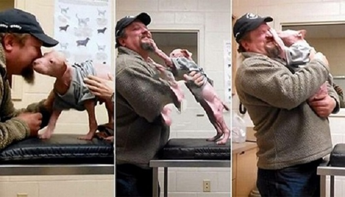 Мужчина вернулся за песиком, чтобы забрать его навсегда. Работники приюта растрогались!