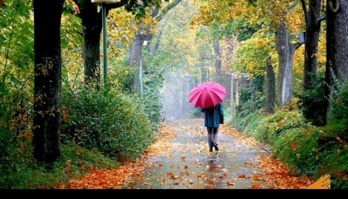 Yaydan qışa keçid və ya payızı itirməyimizin fəsadları