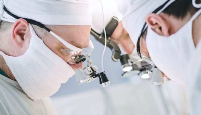 Alimlər ölmüş beyni diriltməyi bacardılar