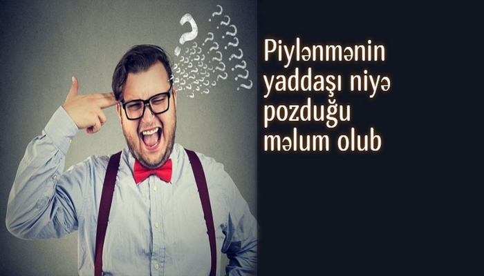 Piylənmənin yaddaşı niyə pozduğu məlum olub