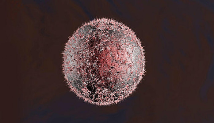 Обнаружено средство против неизлечимого рака крови