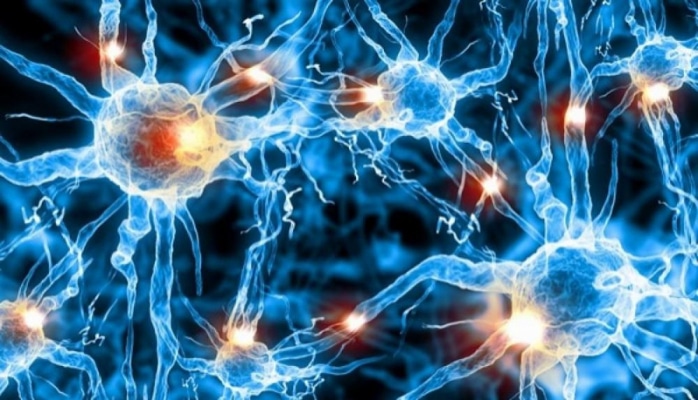 Ученые назвали новую причину болезни Паркинсона