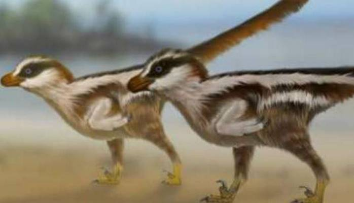 Dünyanın ən kiçik dinozavrının ayaq izləri tapıldı