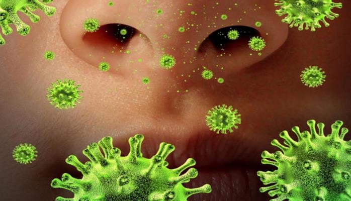 Насколько на самом деле жизнеспособен вирус гриппа