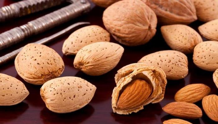 Badam nəyə görə ən faydalı qida sayılır?