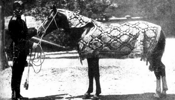 «Карабахская лошадь Гюльгюн»: история одного экспоната