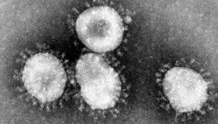 Koronavirus ərəb ölkəsinə də çatdı