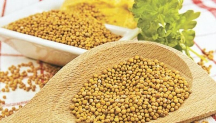 Xardalın bilmədiyimiz inanılmaz faydası - Mütləq oxuyun!