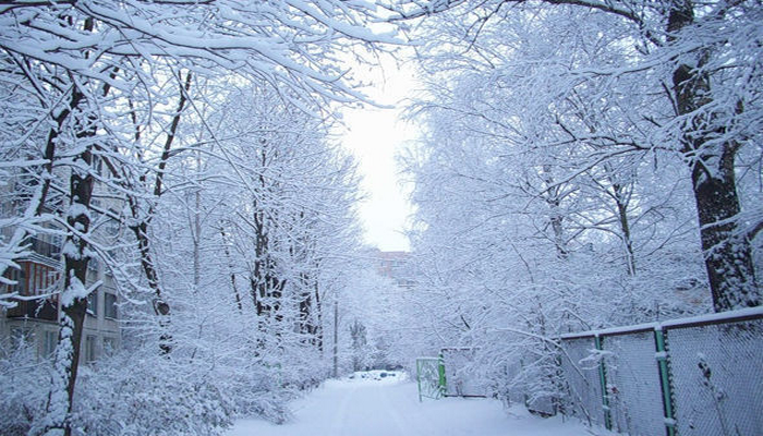 Bölgələrə yağan qar təsərrüfata xeyir verəcək, yoxsa ziyan?