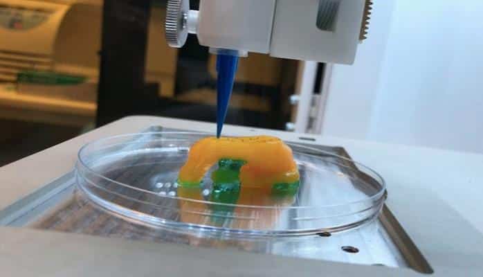 Создан 3D-принтер, печатающий любые человеческие органы 