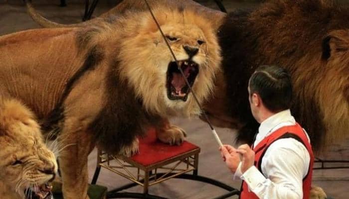 İnsanlara dəhşət yaşadan dünyanın ən qorxunc şousu