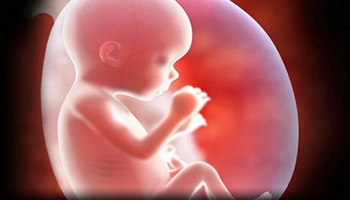 Новый тест позволит предсказать, насколько умным будет ребенок еще до его рождения