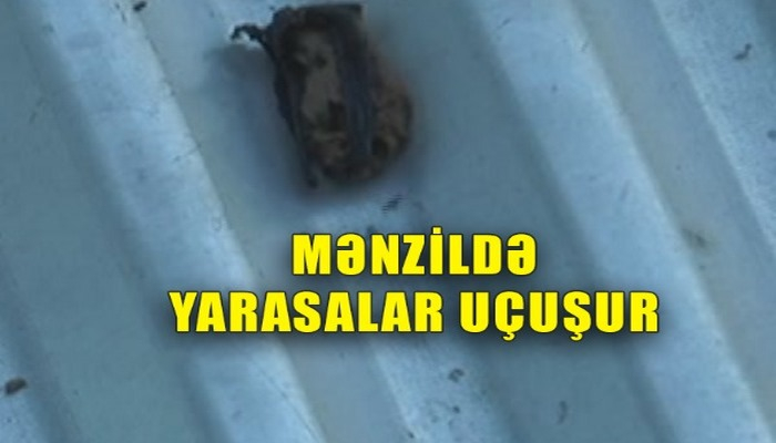 Bu ailə qəribə hadisə ilə üzləşib - Evdə yarasalar uçuşur
