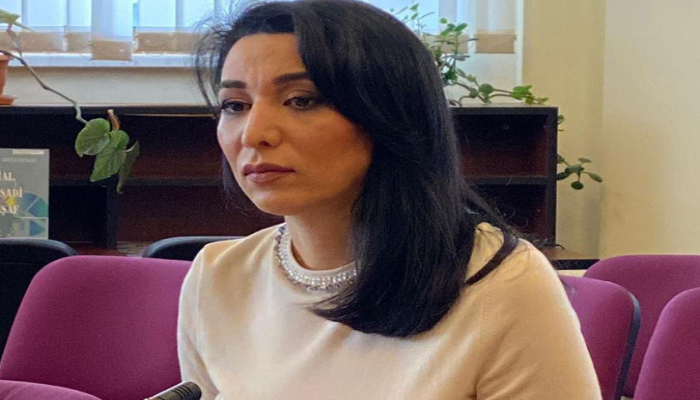 Azərbaycanda İnsan Hüquqları Aylığı başladı