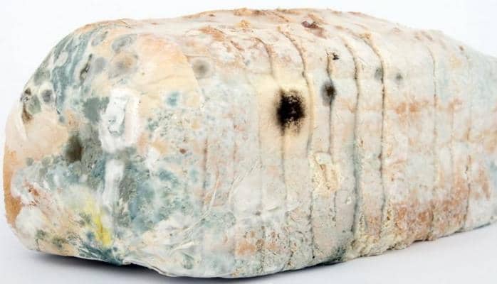 Специалисты рассказали о влиянии продуктов с плесенью на организм