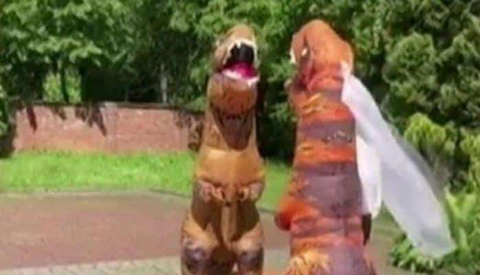 Молодожены пришли в ЗАГС в костюмах тираннозавров