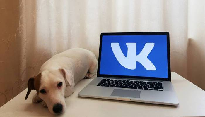 «ВКонтакте» тестирует скрытие счетчика лайков