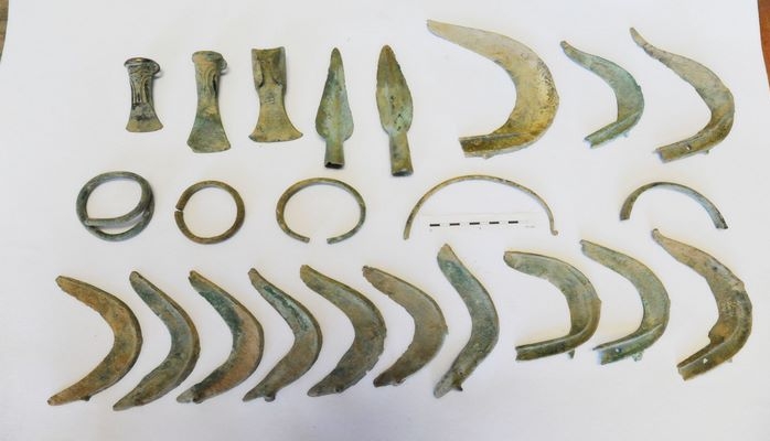 Пес раскопал артефакты Бронзового века во время прогулки