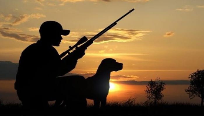 Ovu qadağan olan heyvanların adları açıqlandı