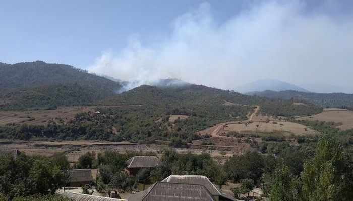 МЧС: Пожар в Гирканском национальном парке потушен