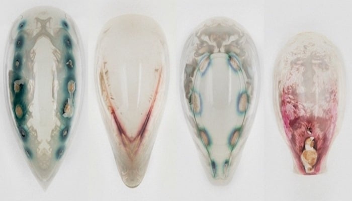 Elm adamları canlı mikroblardan 3D maskaları çap etdilər