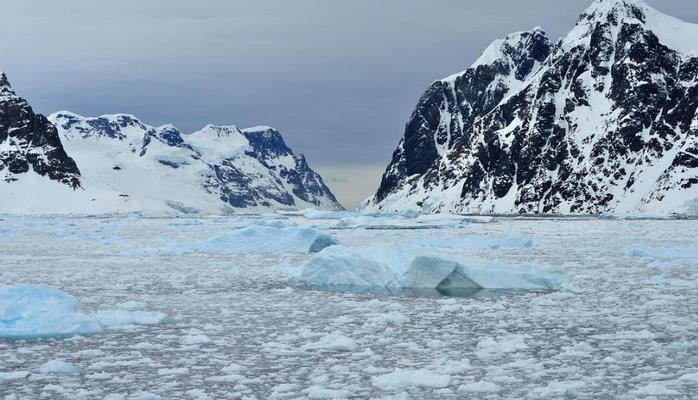 Ученые обнаружили живые организмы в подледном озере Антарктиды