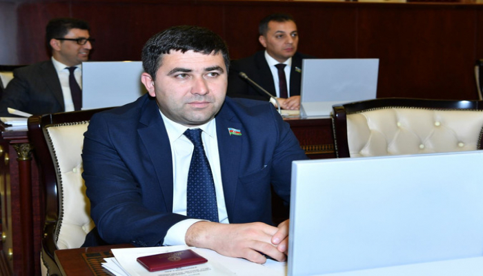 Deputat: 'Azərbaycan pandemiya ilə mübarizəyə tez və asan adaptasiya oldu'