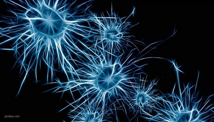 Ученые выяснили, что при болезни Хантингтона нейроны теряют между собой связь