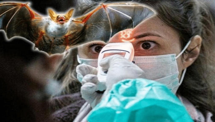 Koronavirusun kökü tapıldı - Elm adamlarından şok xəbərdarlıq