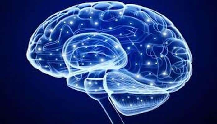 Что такое пластичность мозга и как её развить