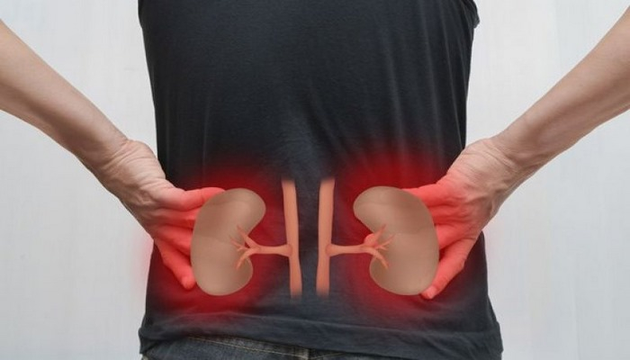 Sağlam adamın böyrəklərini öldürən səbəblər