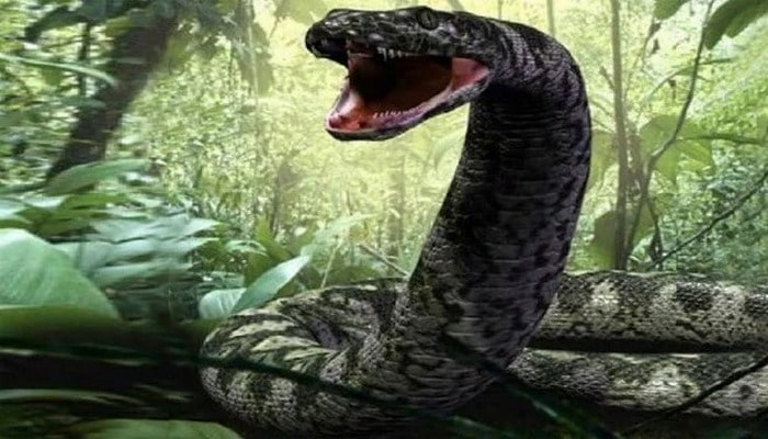 Kameralara düşən ən böyük ilanlar