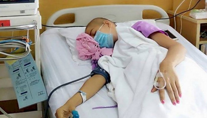 Azərbaycanlı həkim xərçəngi sağaldan bitkinin adını açıqladı