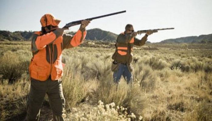 В Гаджигабульском и Билясуварском районах пресечена попытка незаконной охоты