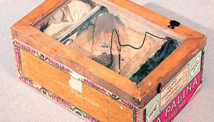 Как появился “почтовый терроризм”