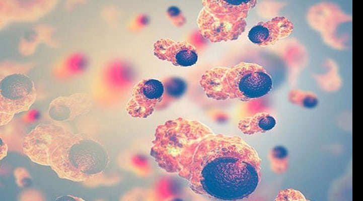 Xərcəngin ən xoşladığı məhsul təyin olunub