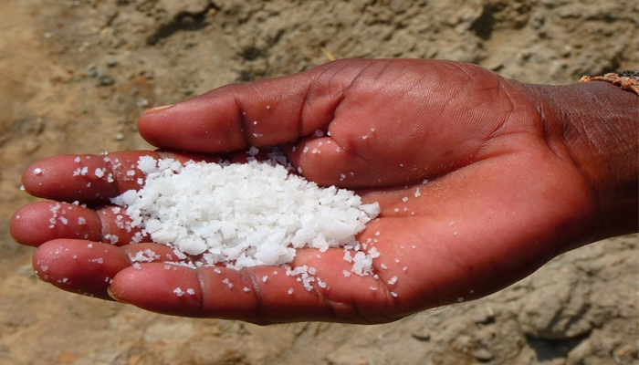 Почему в древности так ценилась соль