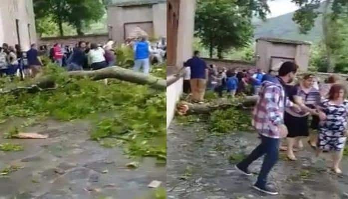 Şəki Xan Sarayındakı budağın qırılma səbəbi bəlli olub - rəsmi açıqlamalar