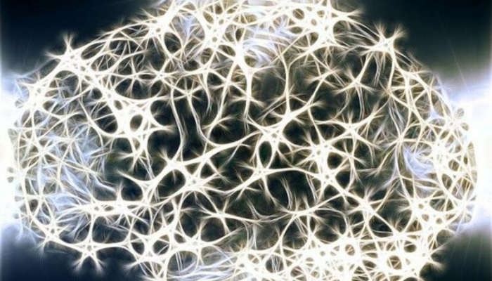 COVID-19 insan beynini "yeyir" - ŞOK ARAŞDIRMA