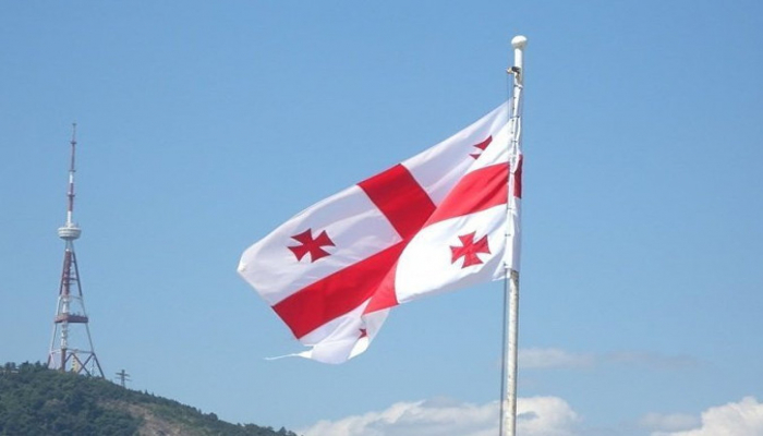 Gürcüstanda icra başçısı vəzifəsinə daha bir azərbaycanlının namizədliyi qeydə alınıb