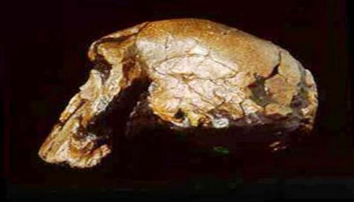 Yunanıstanda ən qədim insan kəlləsinin sümükləri tapılıb