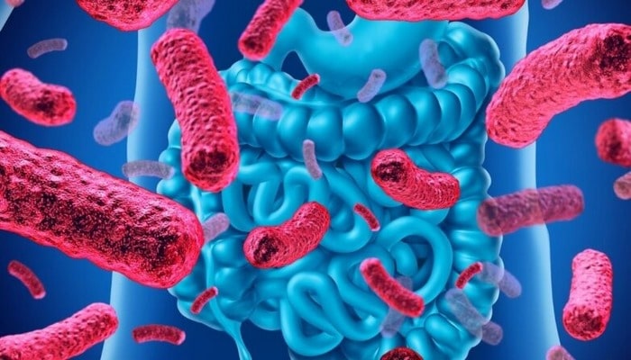 Ученые заявили о положительном влиянии бифидобактерий на лечение рака
