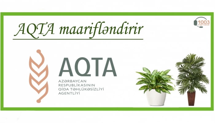 Dekorativ bitkilər və onların zərərvericiləri