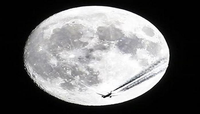 Ayın bu görüntüsü böyük maraq doğurdu