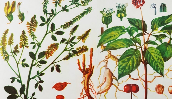 Исторический обзор развития народной и научной медицины в Азербайджане