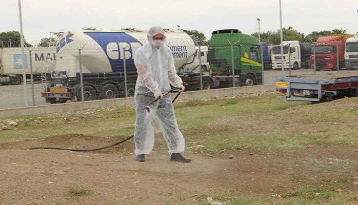 Sərhəd bölgələri xəstəliyə qarşı dezinfeksiya edilir